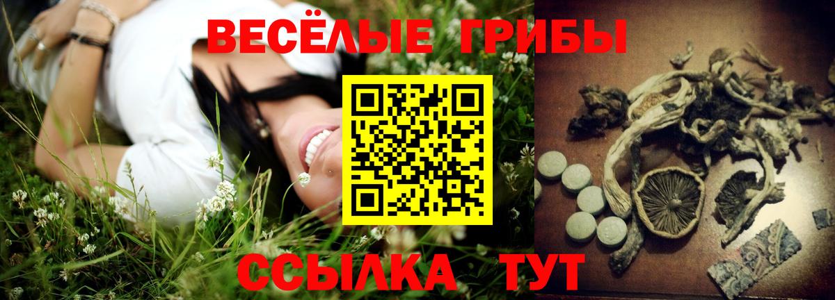 Псилоцибиновые грибы MAGIC MUSHROOMS Муром